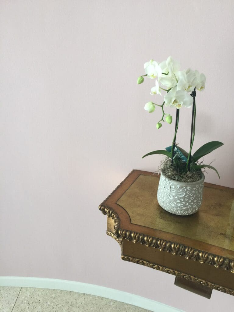 Dining Room walls painted with C2 Pink Paint.  