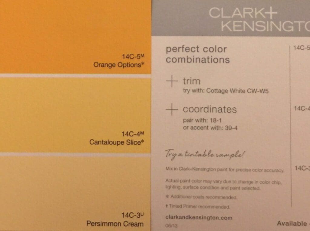 Paint store color chip