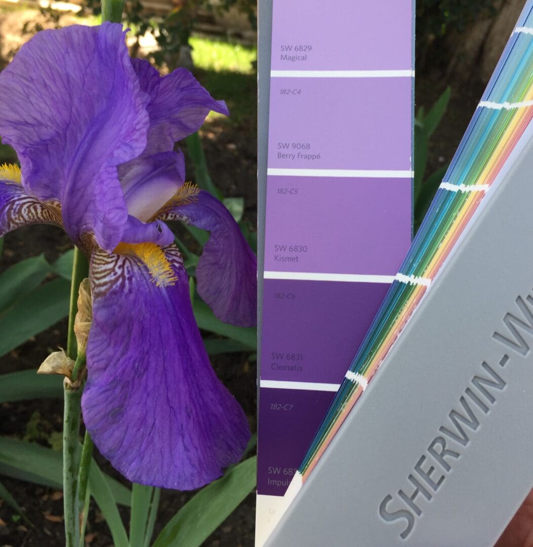 Spring Iris Inspired Paint Colors.