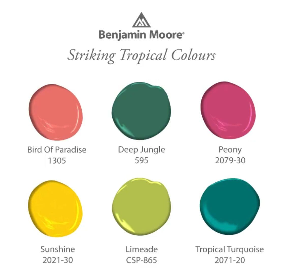 Benjamin Moore Color Palette