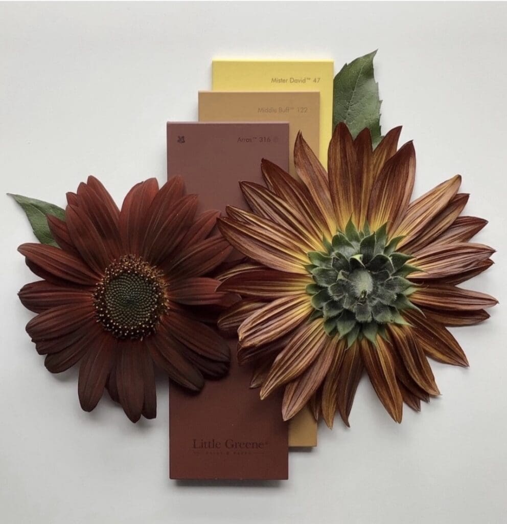 Little Greene Flower Inspired Colors.