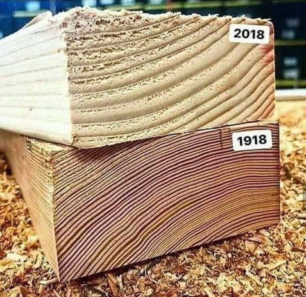 Old Growth Wood Vs. New Growth Wood.