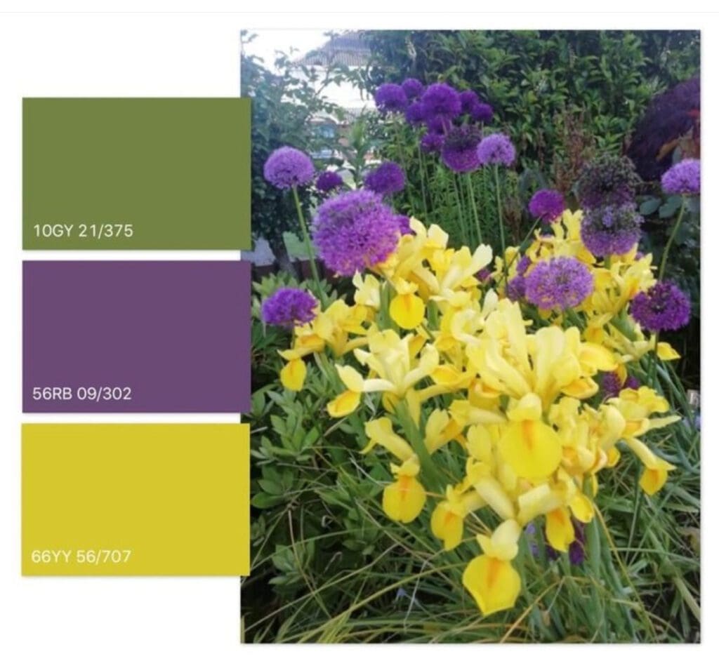 Dulux | Irish Garden in Bloom