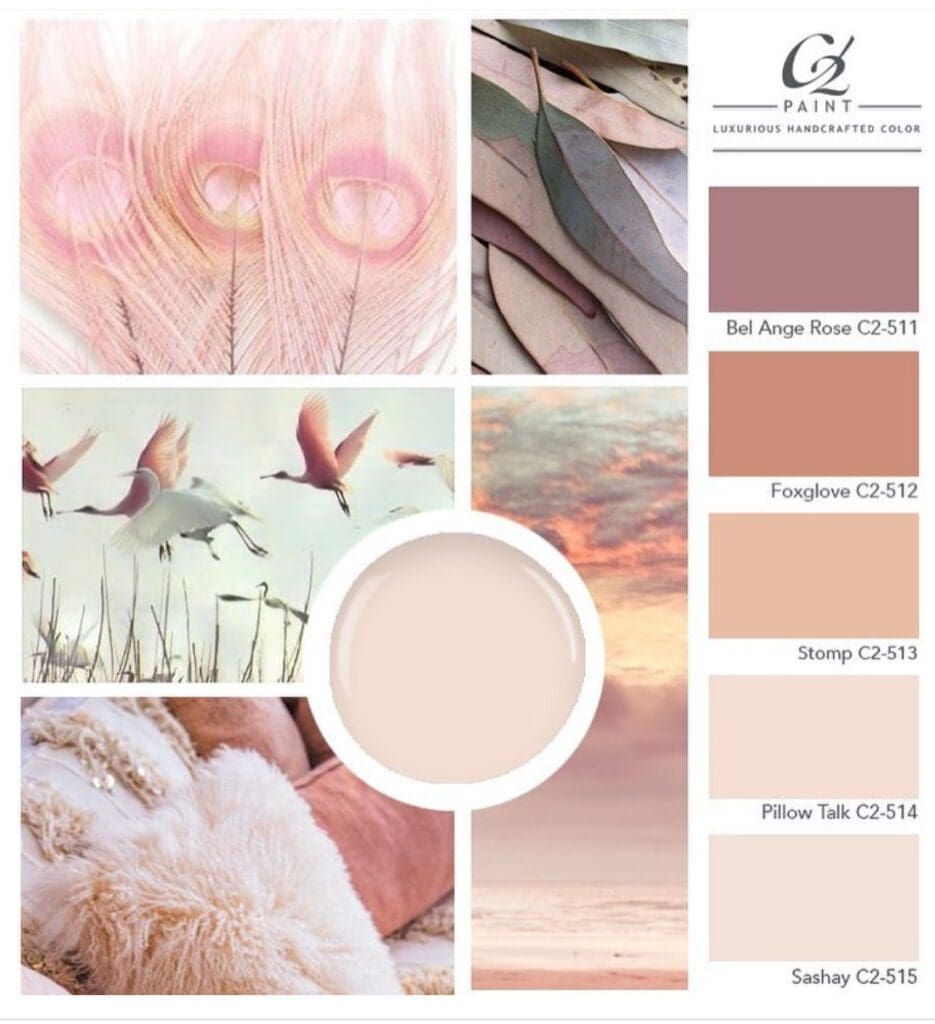 C2 Pink Paint Colors.