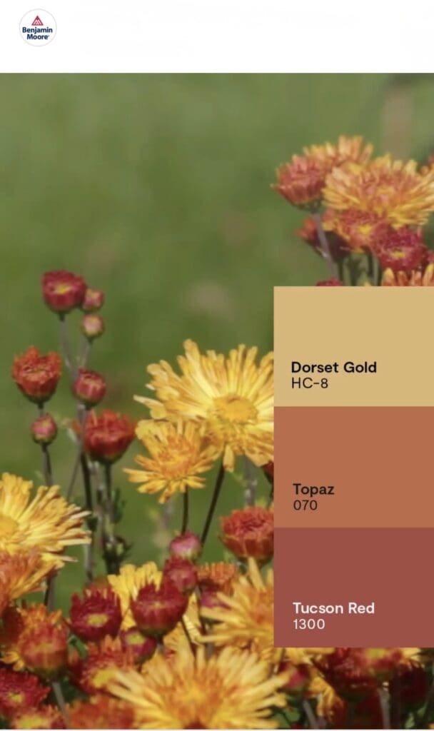 Autumn Color Inspiration