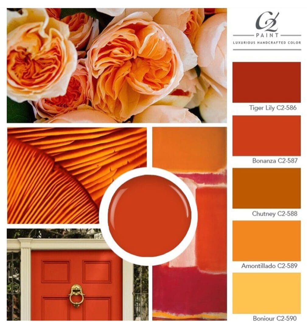 C2 Paint Orange Color Palette.
