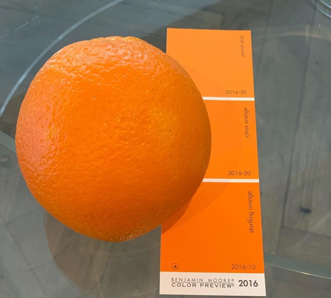 Benjamin Moore Orange Paint Color Chip.