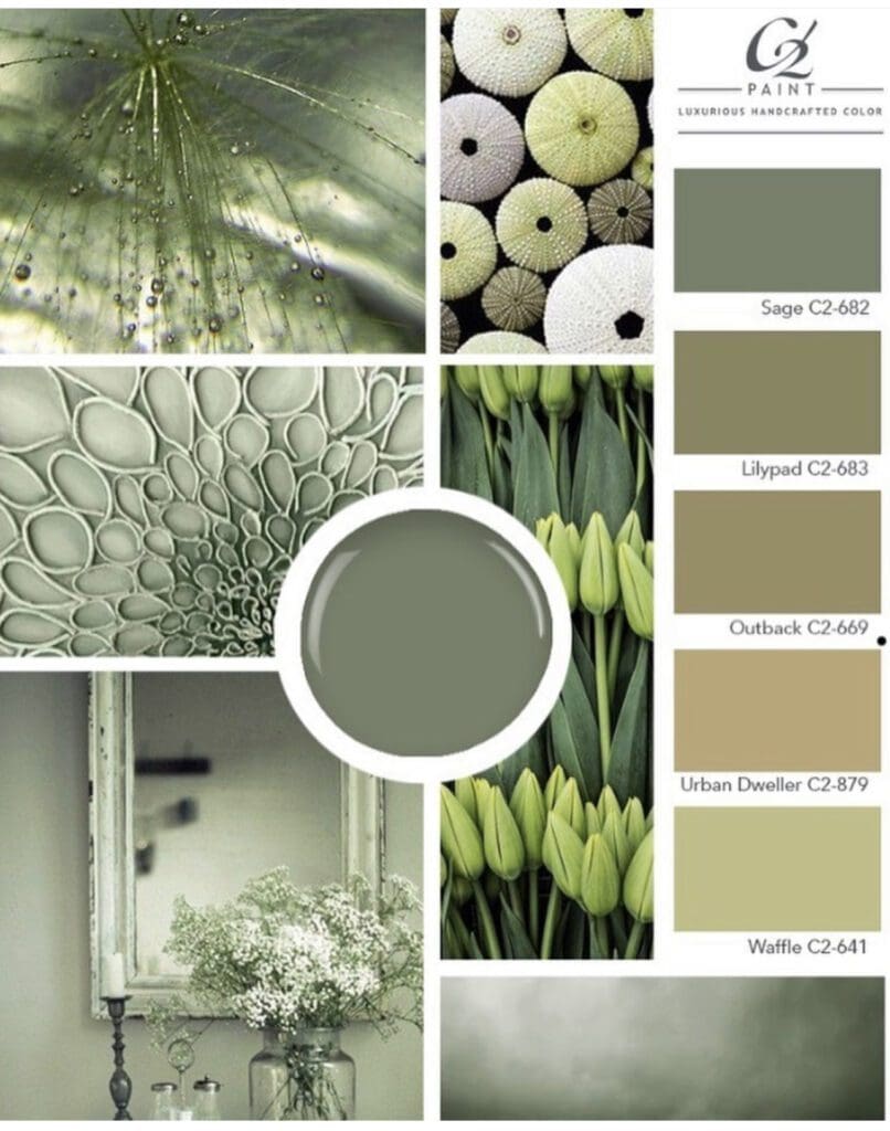 C2 Paint Popular Earthy Green Colors.