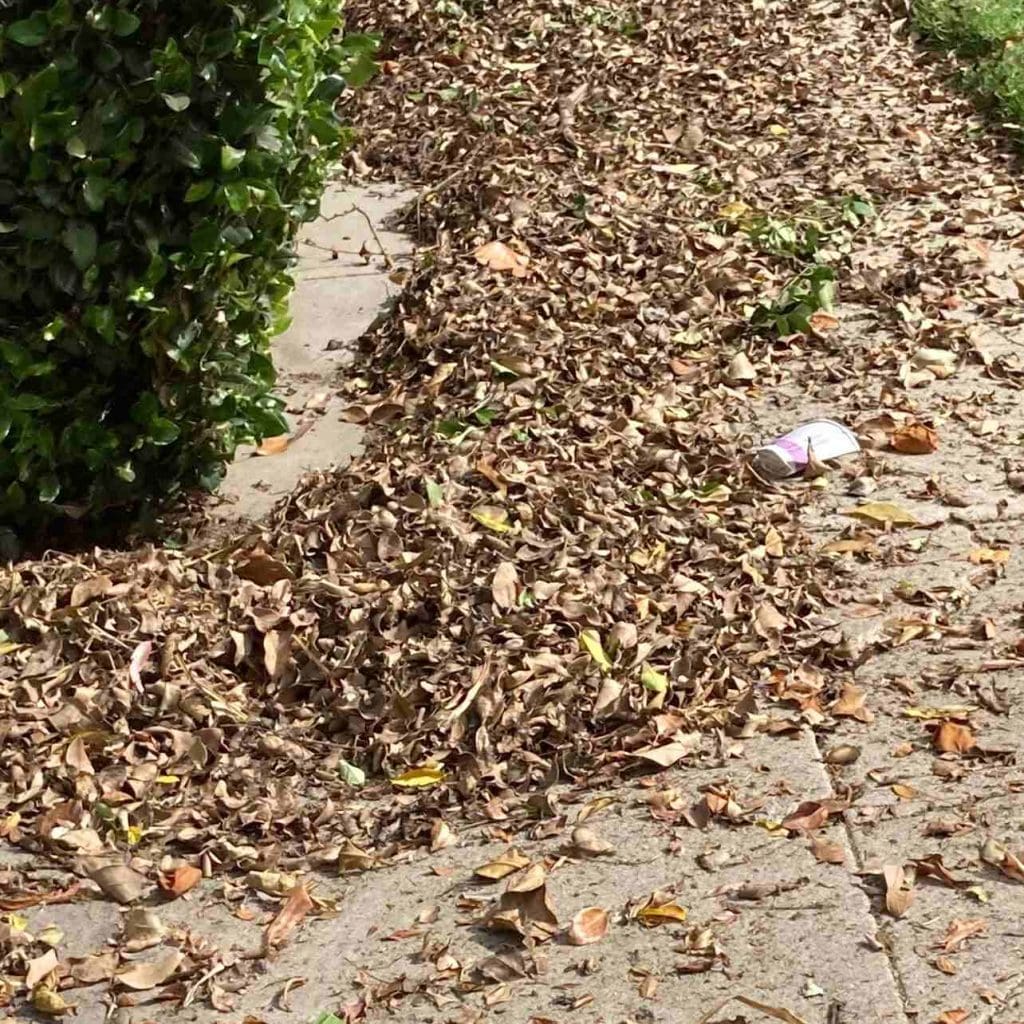 Example of dead hedge debris cleaned out of a hedge.