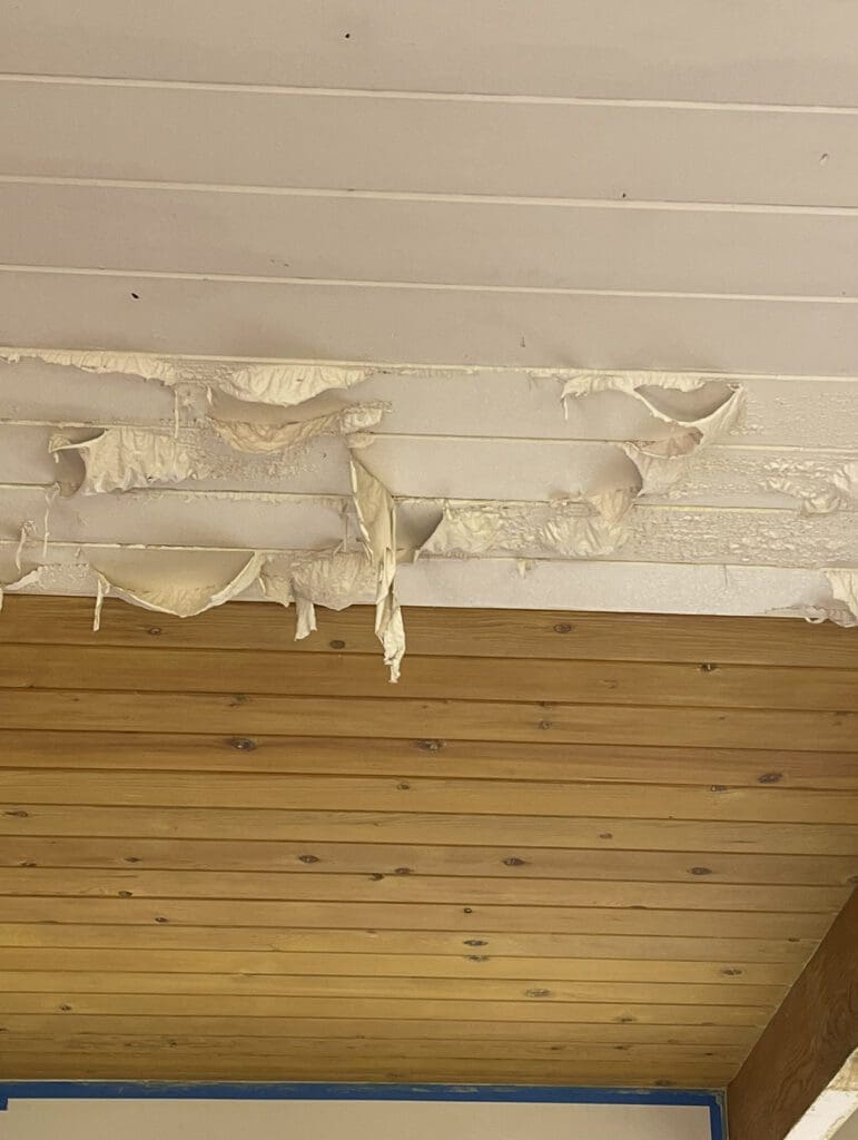 Stripping Paint off cedar ceilings to reveal the original beauty of the wood.