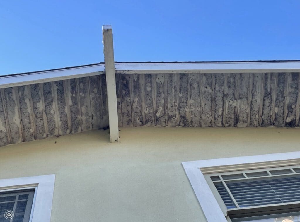 Mildew on Eaves