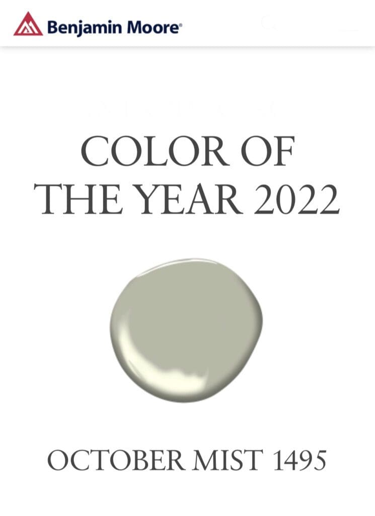 Benjamin Moore 2022 Color of the Year | October Mist