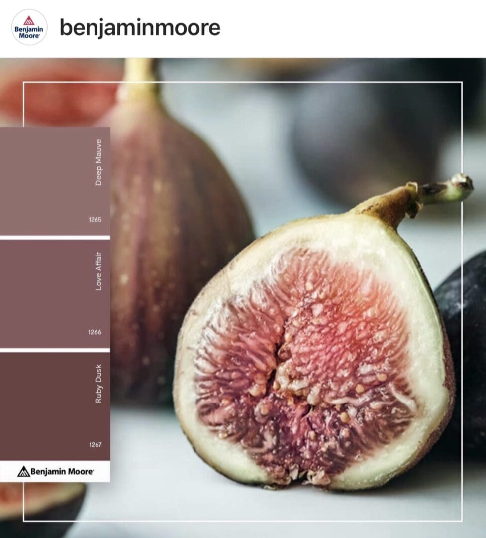 Benjamin Moore Paint Color Inspiration Palette