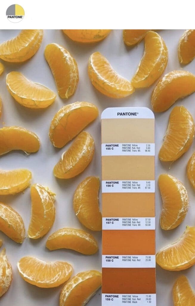 Pantone Orange Paint Color Inspiration.