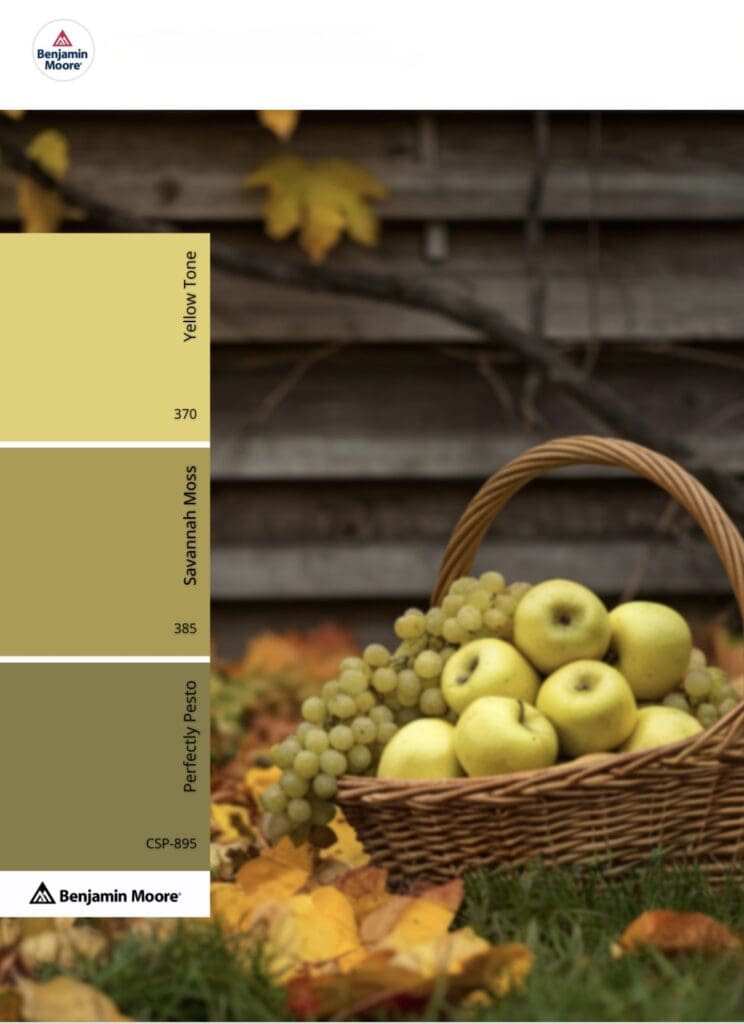 Green Apple and Grape Paint Color Inspiration.