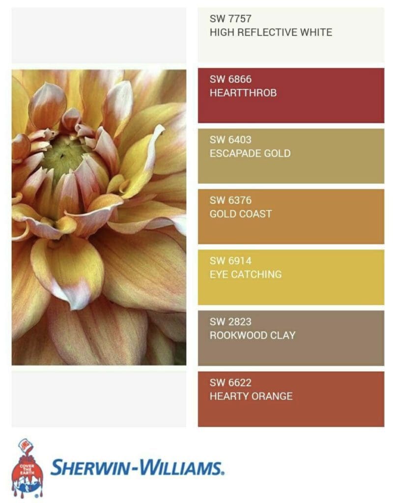 Sherwin Williams Color Snap color matching app