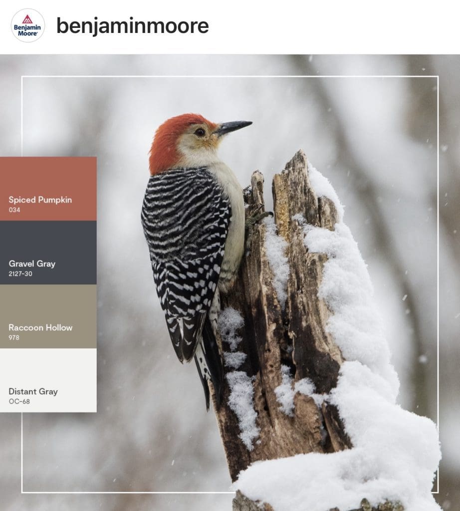 Benjamin Moore Nature Inspired Paint Color Palette. 