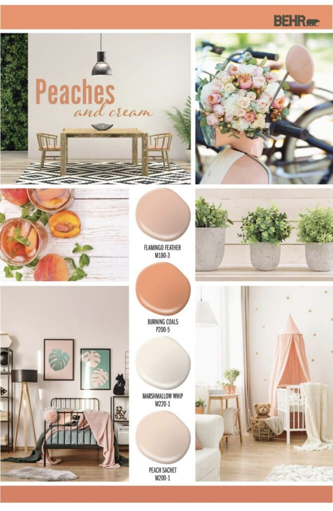 Behr Peaches and Cream Paint Color Palette. All Los Angeles Painting Company, Inc.