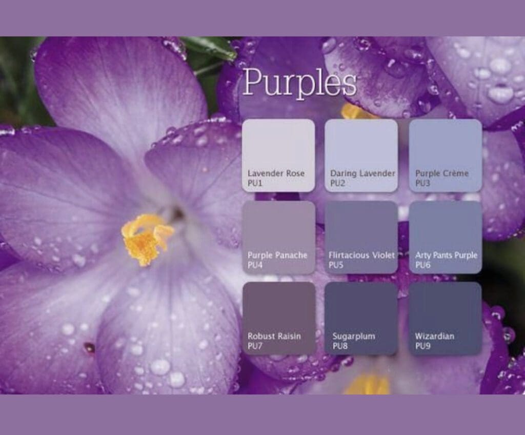 Dutch Boy Purple Paint Color Palette. All Los Angeles Painting Company, Inc.