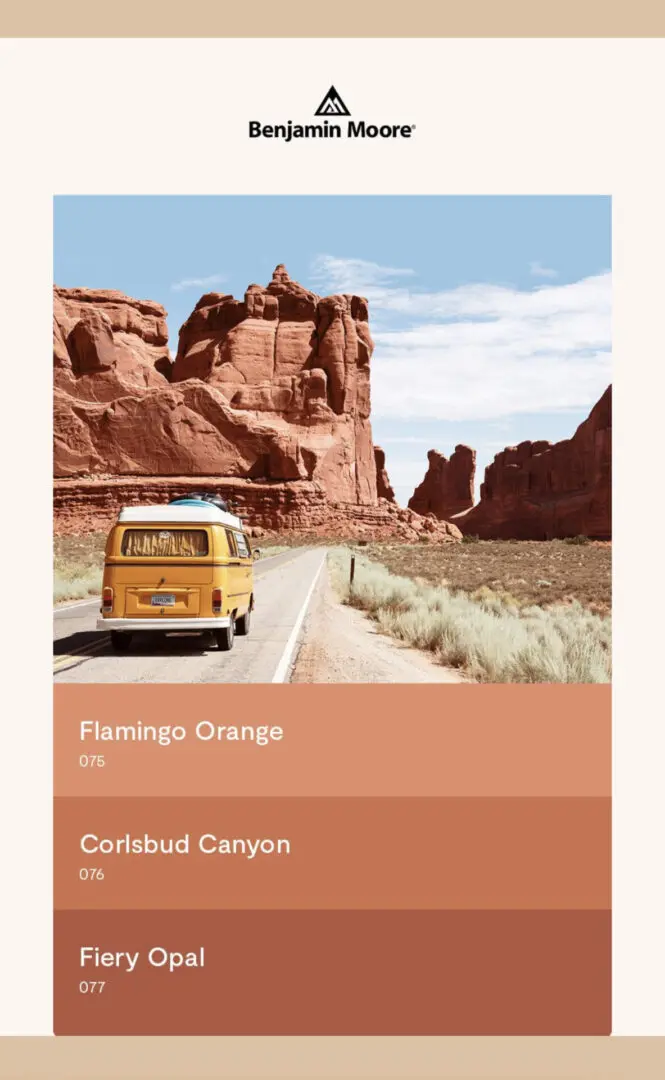 Summer Inspired Burnt Orange Colors