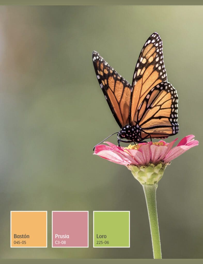 Comex Butterfly Color Palette. All Los Angeles Painting Company, Inc,