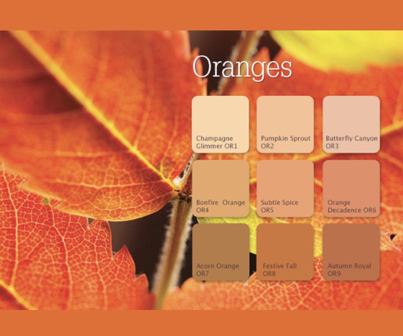 Dutch Boy Orange Paint Color Palette.
