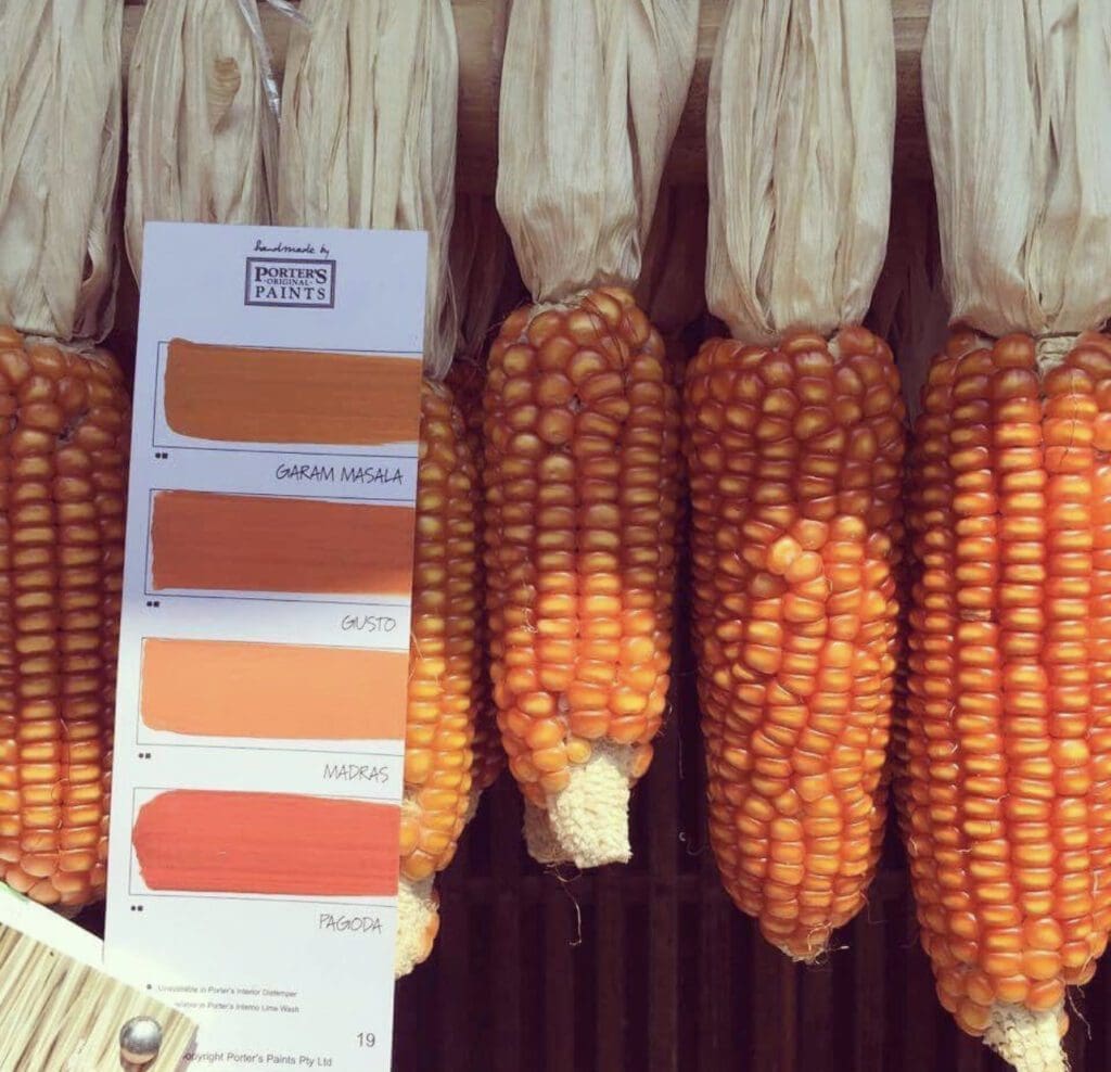 Orange Paint Color Inspiration Palette.