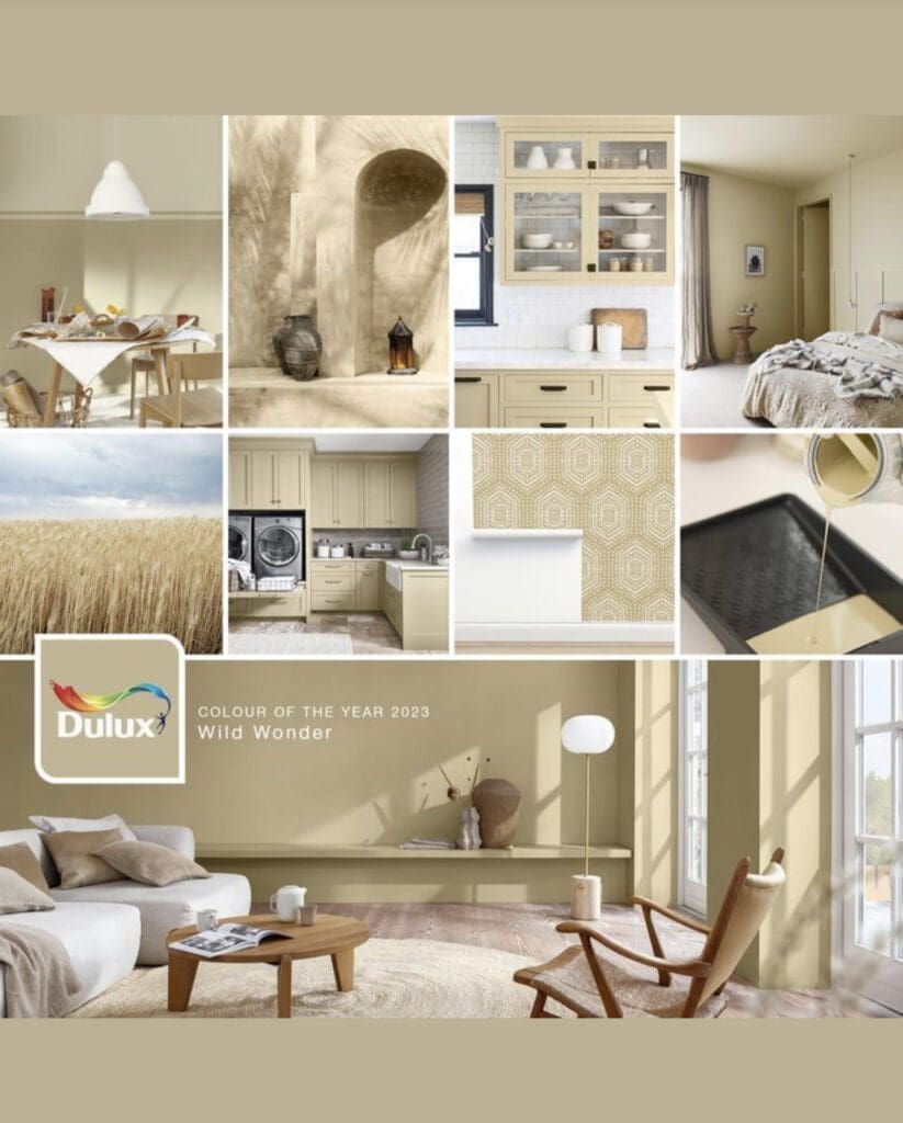 Dulux 2023 Color of the Year | Wild Wonder. All Los Angeles Painting Company, Inc.