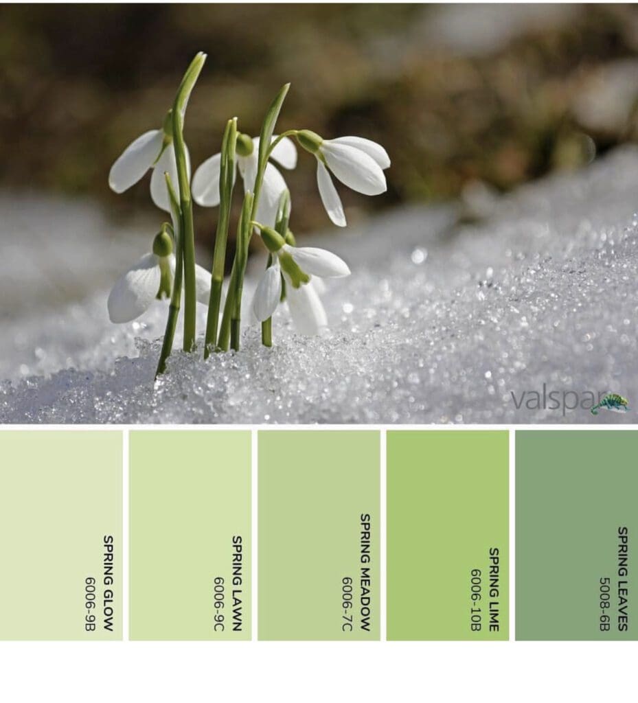 Valspar | First Spring Flower Paint Color Inspiration.