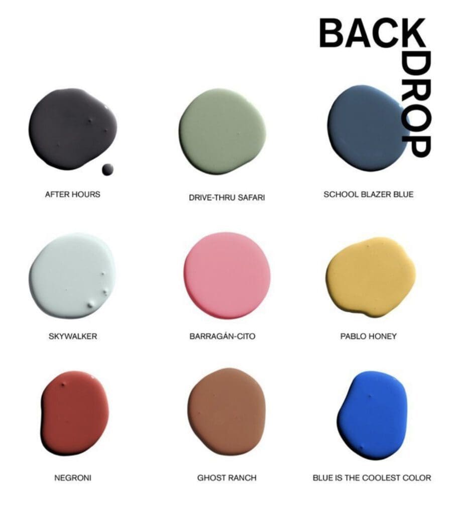 Backdrop Paint Accent Color Palette.