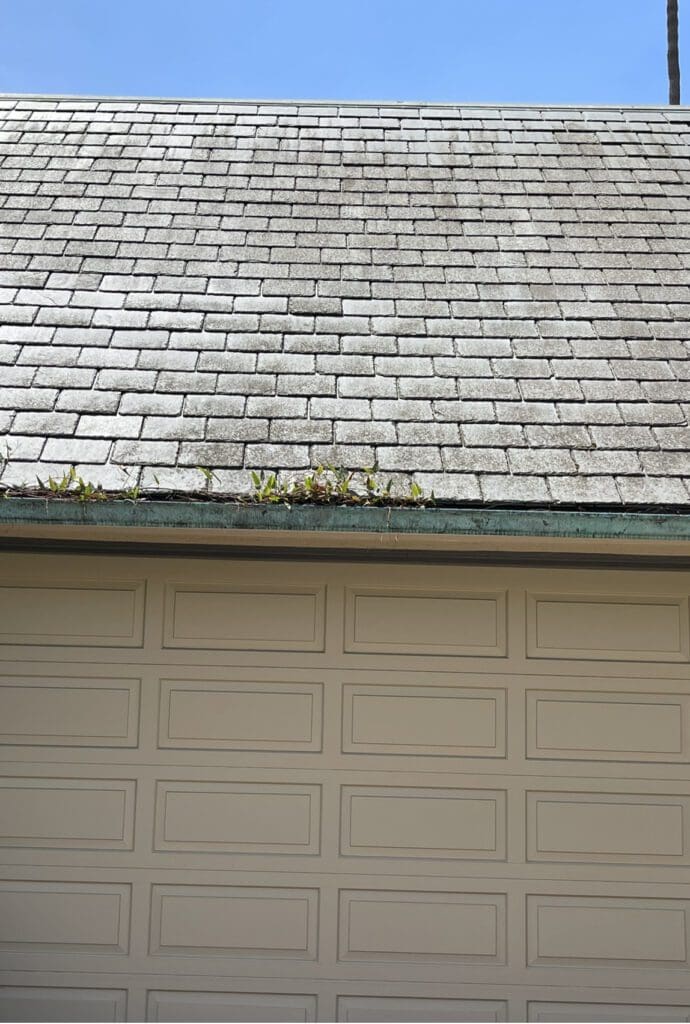 Regular Rain Gutter Cleaning.