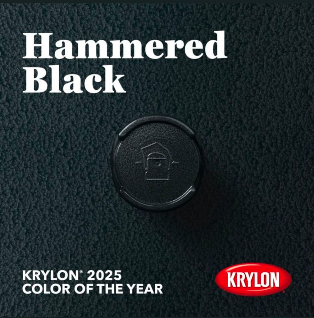 Krylon 2025 Color of the Year.