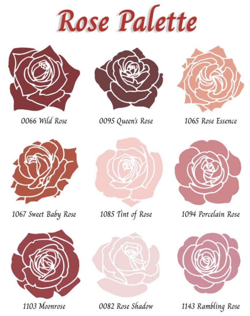 Valentine's Day Rose Color Inspiration