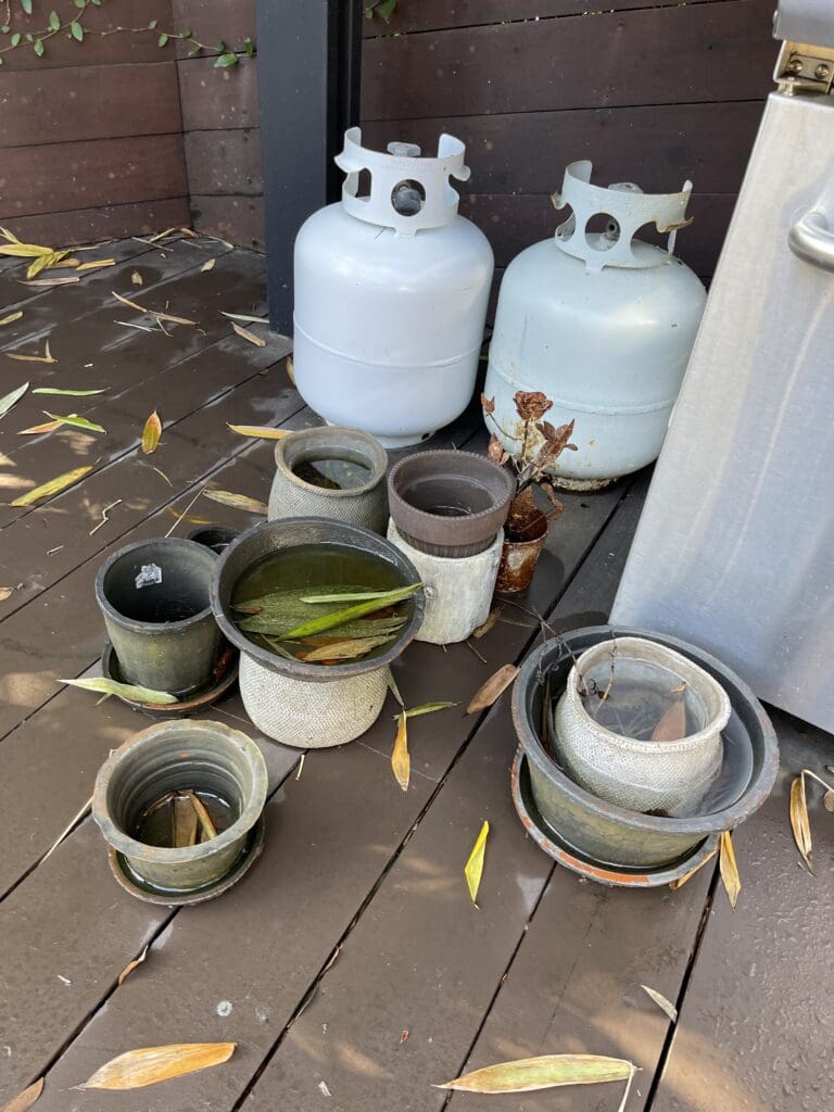 multiple pots and white cylinders backyard