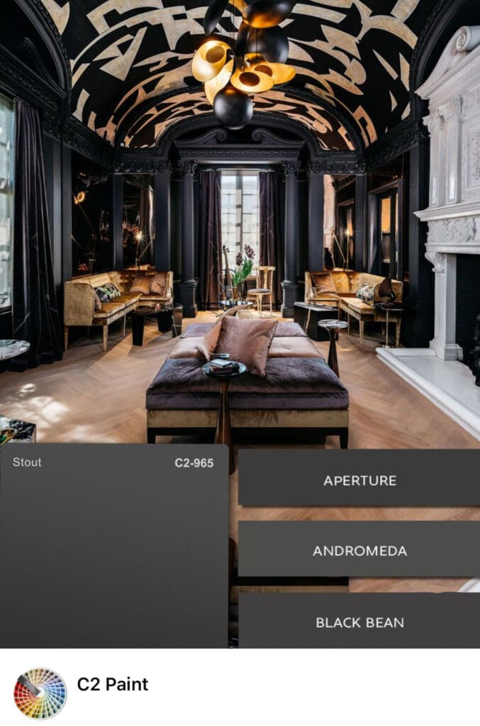 C2 Paint’s full spectrum dark brown and black paint colors offer design and psychological benefits. From classic and elegant to dark and mysterious, these near black tones convey sophistication to any interior color scheme.