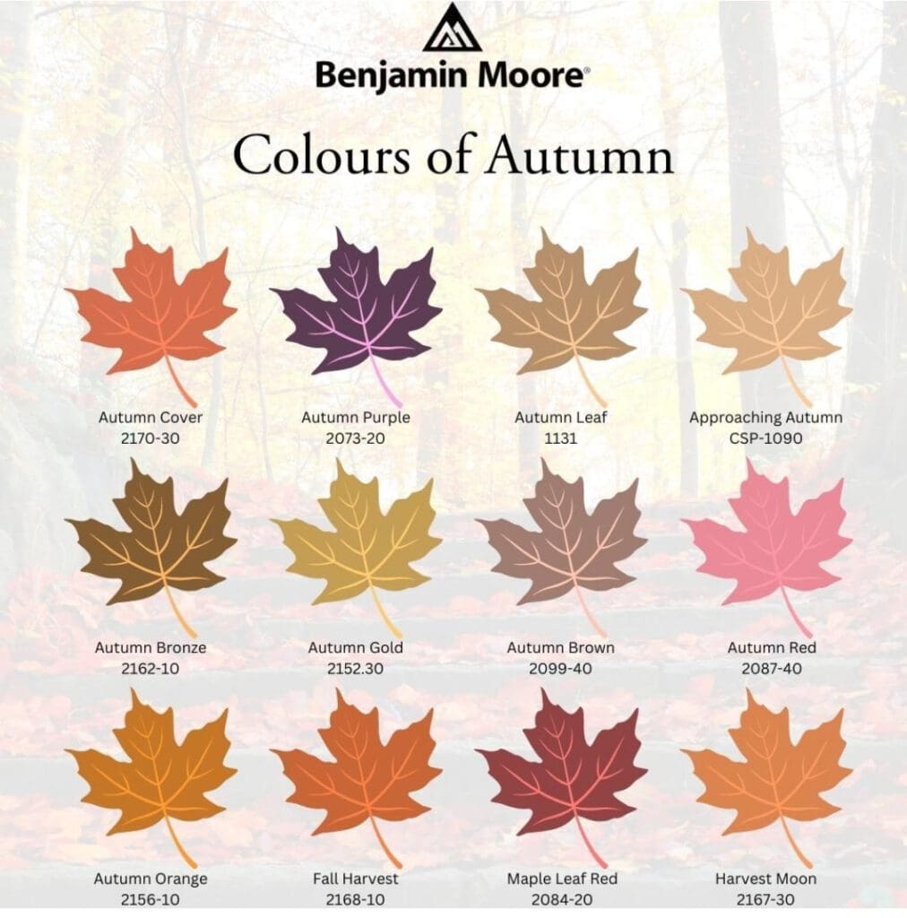 Colors of Autumn.