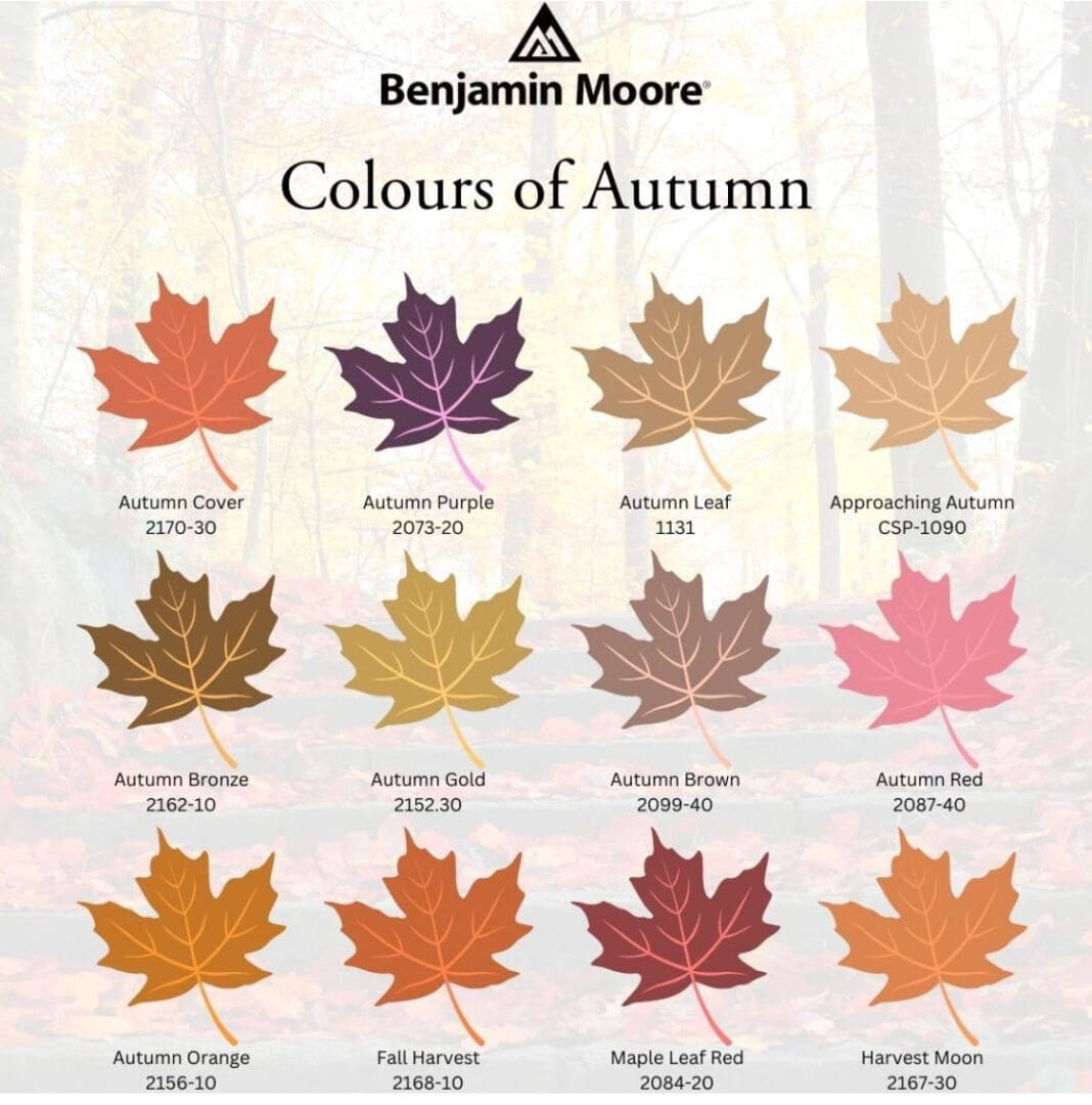 Colors of Autumn.