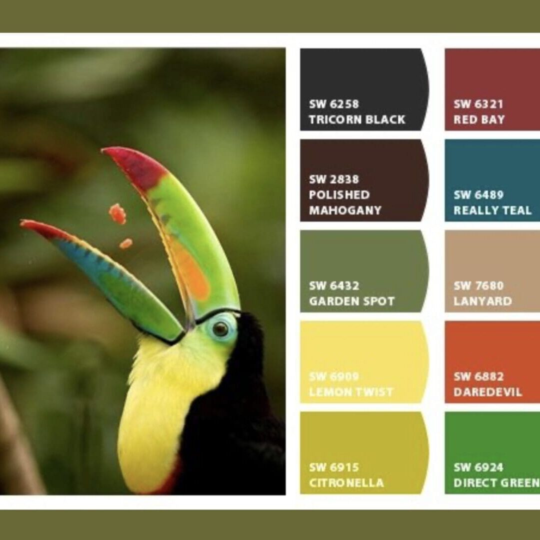 Toucan-Inspired-Paint-Colors