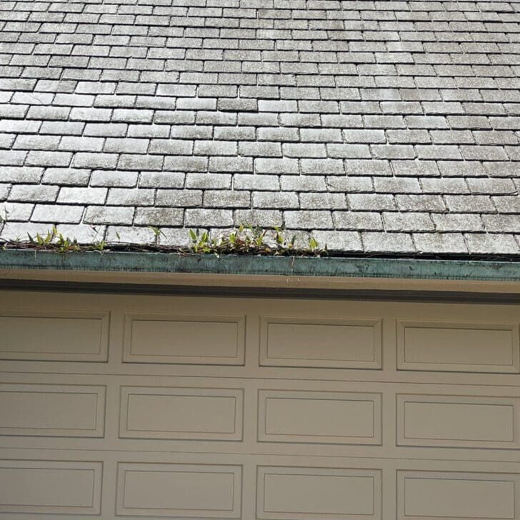 Regular Rain Gutter Cleaning.