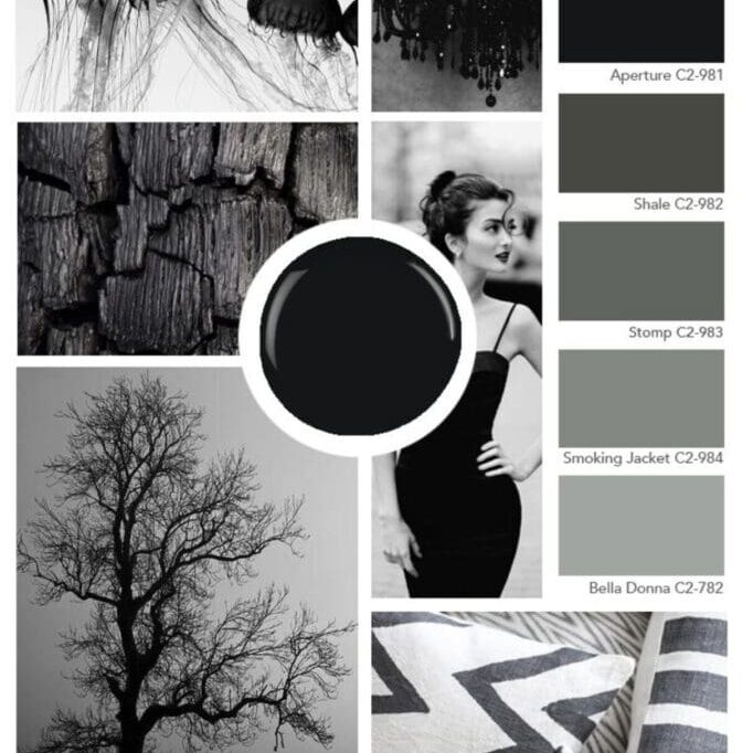 C2 Paint black & deep tone grays are visually striking and offer a myriad of design and psychological benefits. From classic and elegant to dark and mysterious, black and dark grays add depth and sophistication to any interior design scheme.