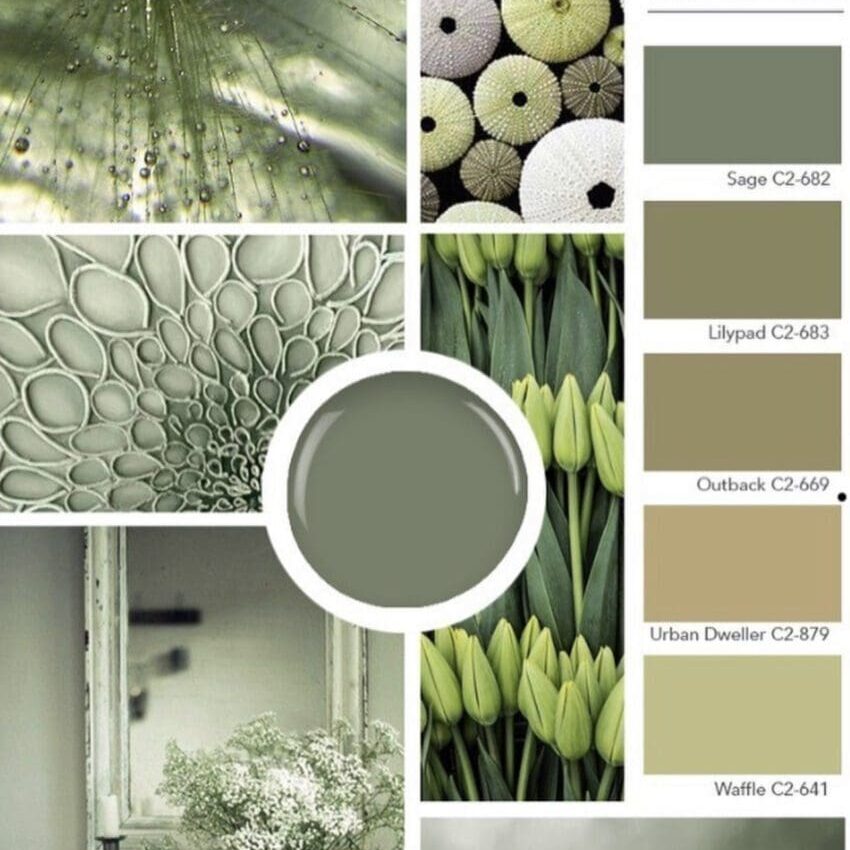 c2-paint-popular-earthy-greens/