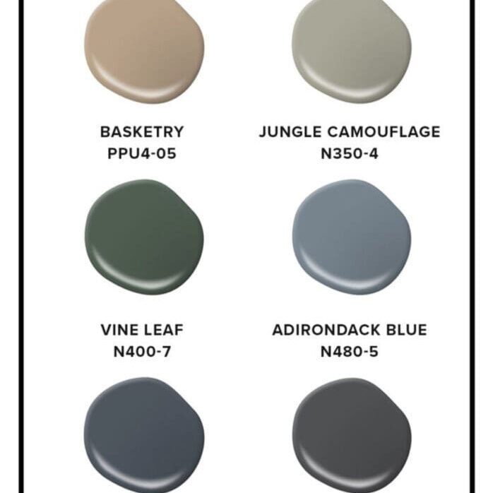 Behr Designer Accent Colors