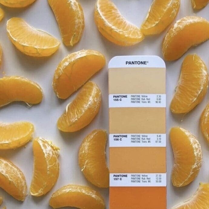 Pantone Orange Paint Color Inspiration.