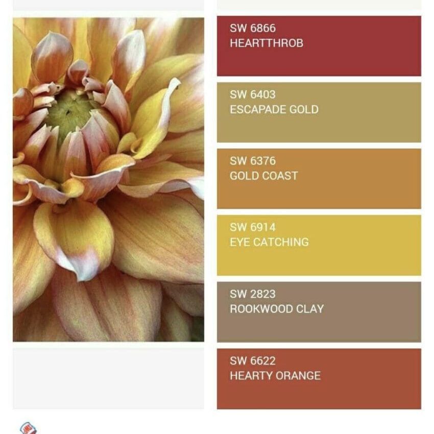 Sherwin Williams Color Snap color matching app