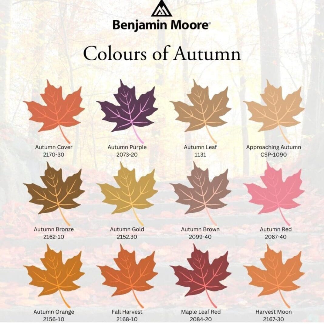 Colors of Autumn. Colors of Autumn.