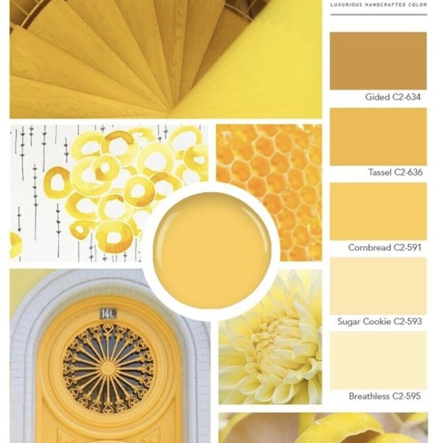 C2 Paint's yellows range from soft and buttery to bold and disruptive. These yellows offer a unique opportunity to make a color statement.