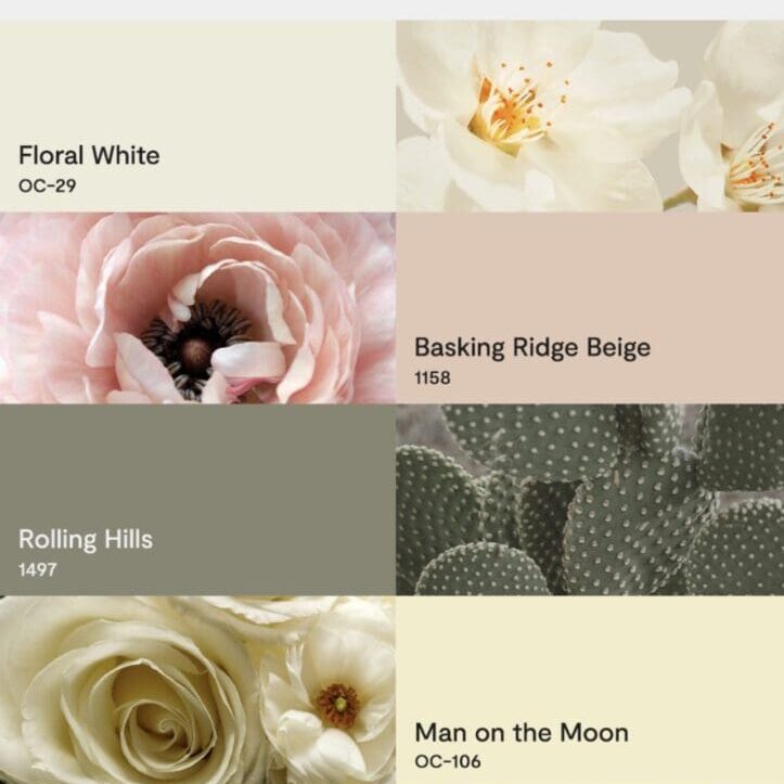 Benjamin Moore Flora Inspired Paint Color Palette. All Los Angeles Painting Company, Inc.