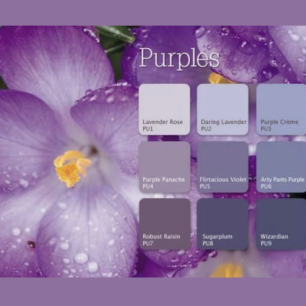 Dutch Boy Purple Paint Color Palette. All Los Angeles Painting Company, Inc.