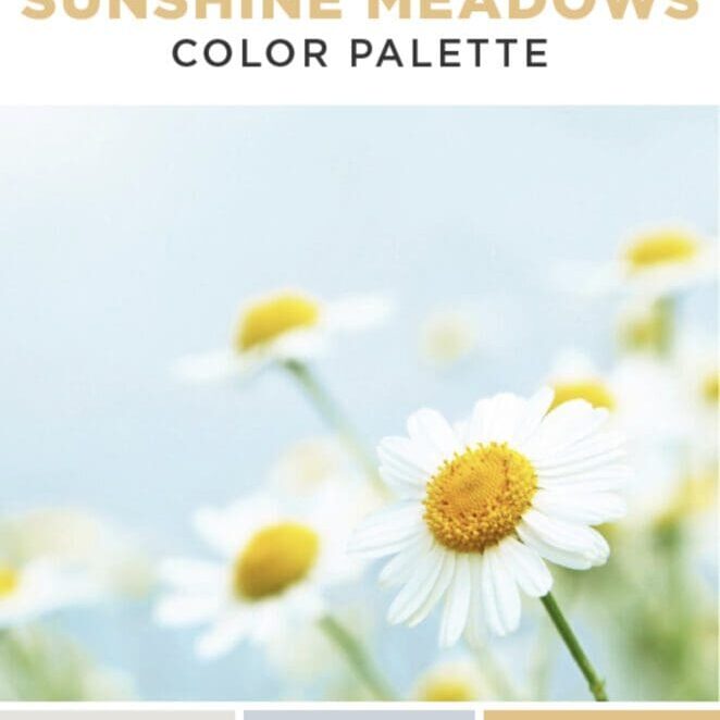 Behr | Sunshine Meadows Paint Color Palette. All Los Angeles Painting Company, Inc.