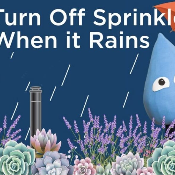 Automatic Sprinkler Turn-off Reminder. Automatic Sprinkler Turn-off Reminder.